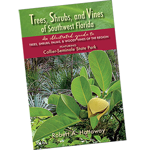 Trees, Shrubs, and Vines of Southwest Florida by Robert A. Hattaway