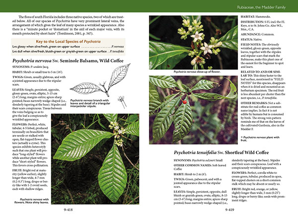 Trees, Shrubs, and Vines of Southwest Florida by Robert A. Hattaway