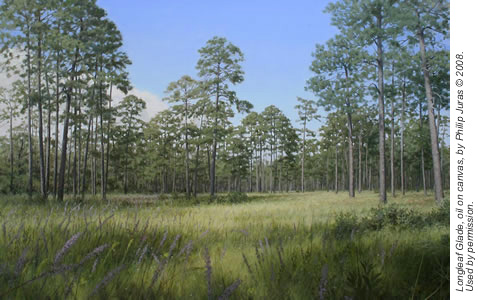 Longleaf Glade, oil on canvas by Philip Juras © 2008