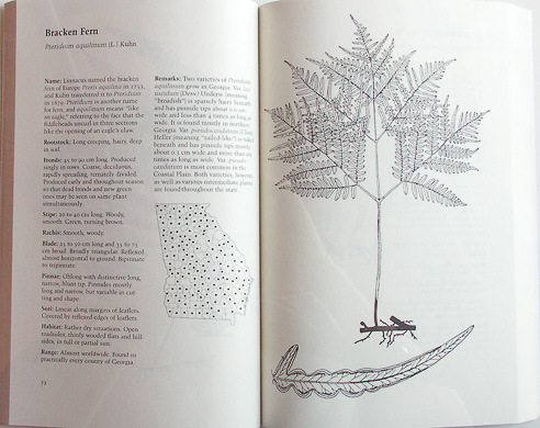 page from Field Guide to the Ferns and Other Pteridophytes of Georgia by Lloyd H. Snyder, Jr., and James G. Brucee