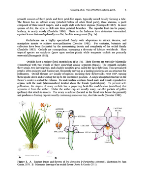 page from Flora of northern Alabama, Daniel D. Spaulding et al., 2023