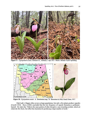 page from Flora of northern Alabama, Daniel D. Spaulding et al., 2023