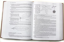 page from Manual of Woody Landscape Plants by Michael Dirr