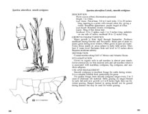 page from 100 Native Forage Grasses in 11 Southern States