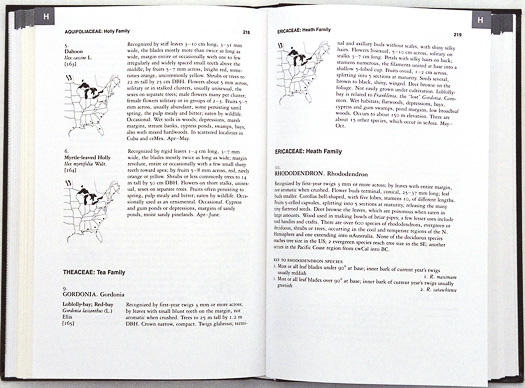 page from Trees of the Southeastern US by Wilbur H. Duncan and Marion B. Duncan