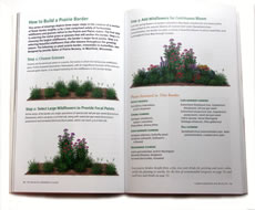 page from The Wildlife Gardener's Guide by Janet Marinelli