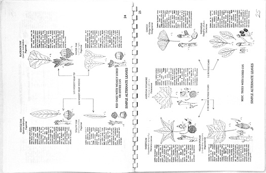 page from Woody Plants of the Blue Ridge by Ron Lance