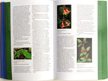 page from Wildflowers and Plant Communities of the Southern Appalachian Mountains and Piedmont by Tim Spira