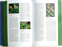 page from Wildflowers and Plant Communities of the Southern Appalachian Mountains and Piedmont by Tim Spira