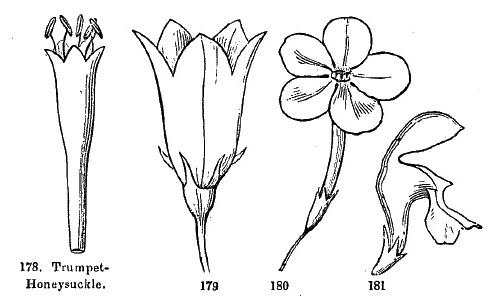 fig178-179-180-181