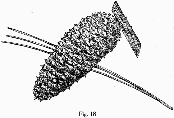 Fig. 18