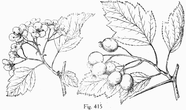 Fig. 415