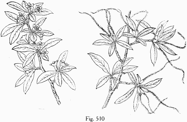 Fig. 510